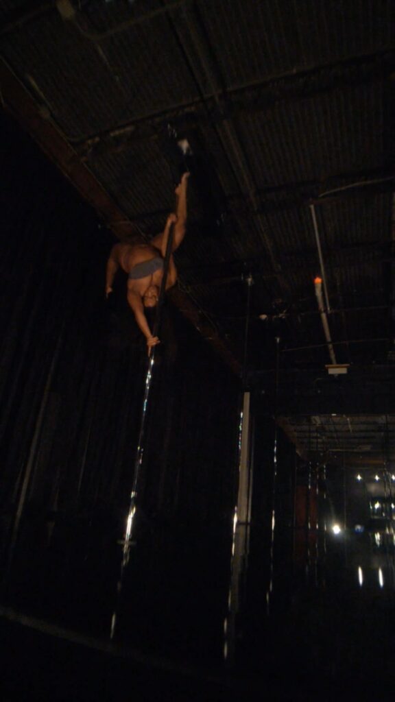 Butterfly (Floor/Standing/Aerial) “BodySculpt” Possession Polework (virtual)